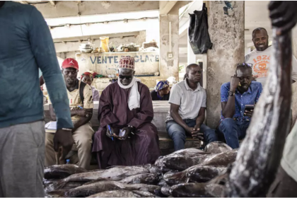 Des pêcheurs sénégalais en novembre 2023. AFP - JOHN WESSELS