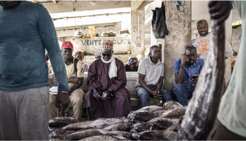 Des pêcheurs sénégalais en novembre 2023. AFP - JOHN WESSELS